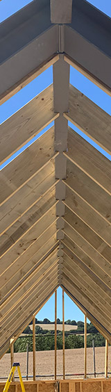 timber